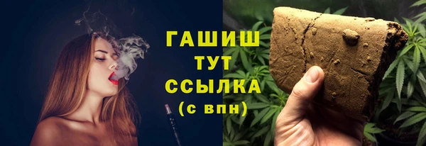 прущие грибы Вязники